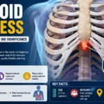 Xiphoid